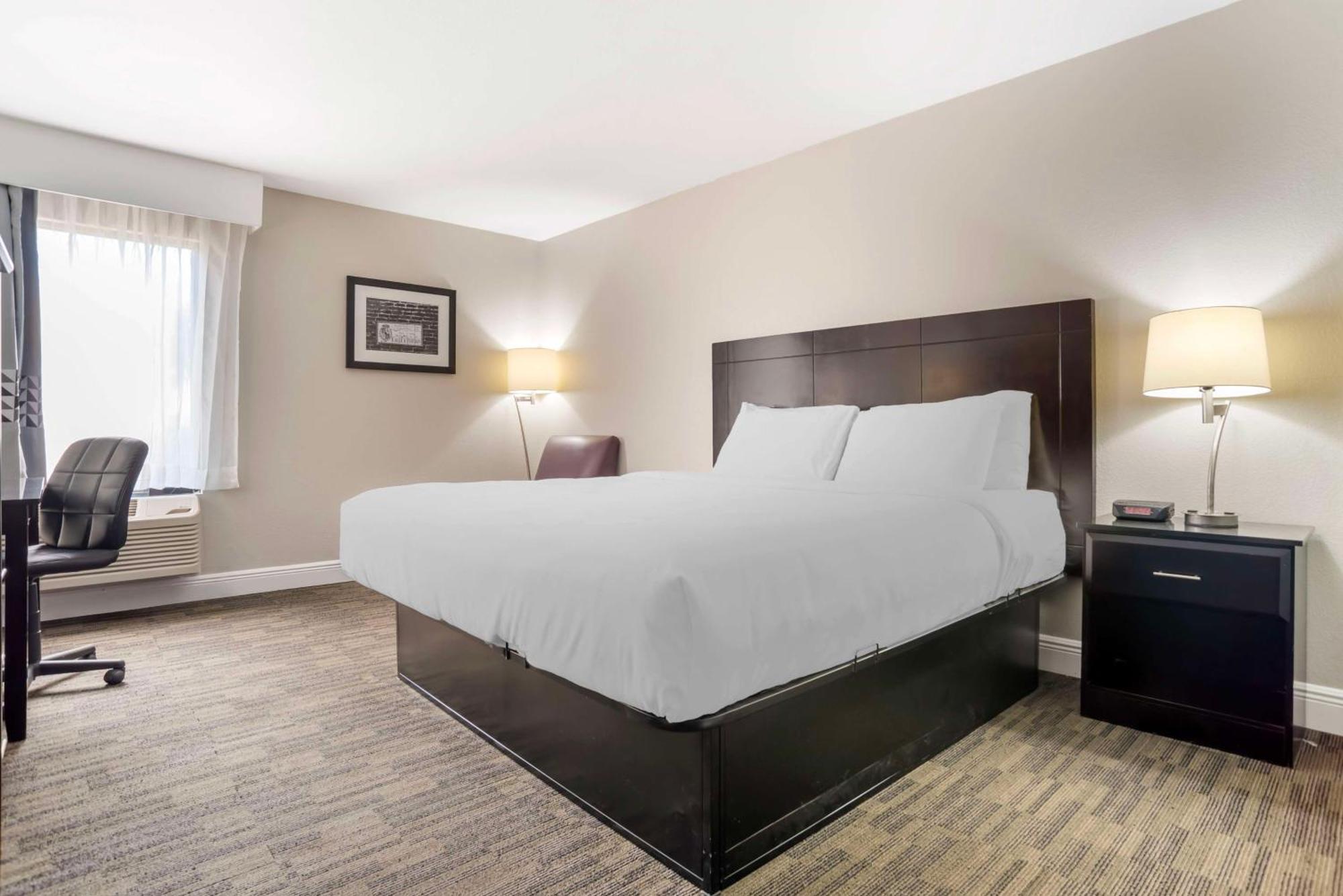 Best Western Bayou Inn Westwego Dış mekan fotoğraf